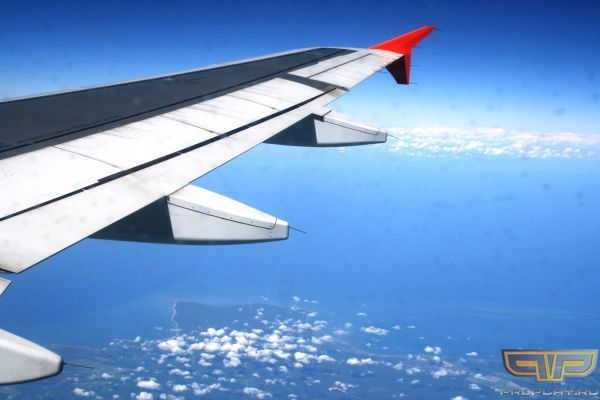 ��� ��� ����� ��� ������������ ���� �����