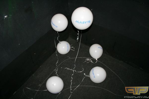 ��� ������ ������ �������� ���� ���� � ����