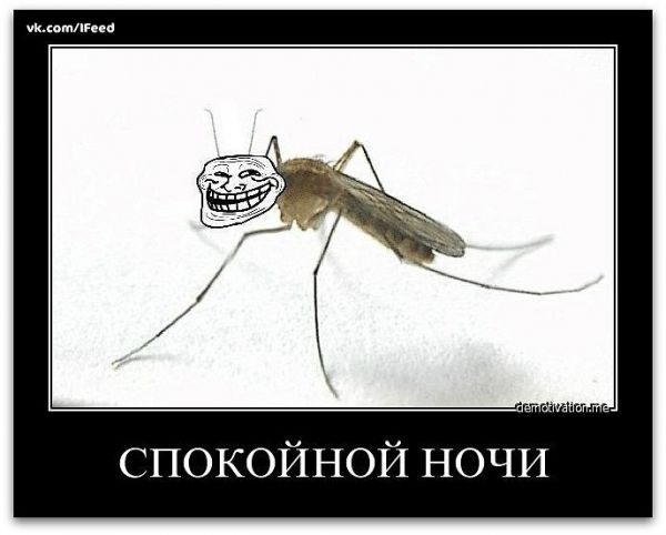 ��������� ����