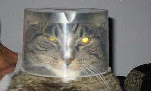 ����� �����