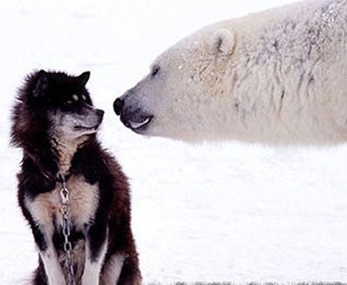 �������� ��������18