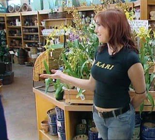 ������ ���� ������